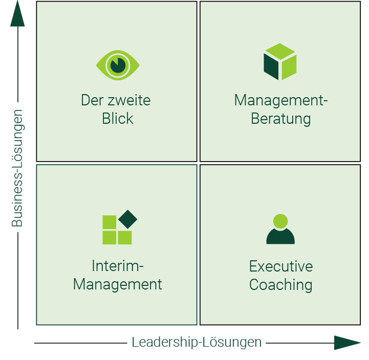 Management-Beratung, Executive Coaching, Der zweite Blick, Interim-Management