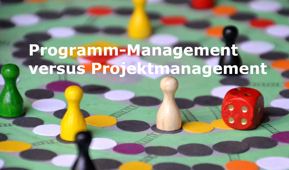 Impulsvortrag Programm-Management vs. Projektmanagement